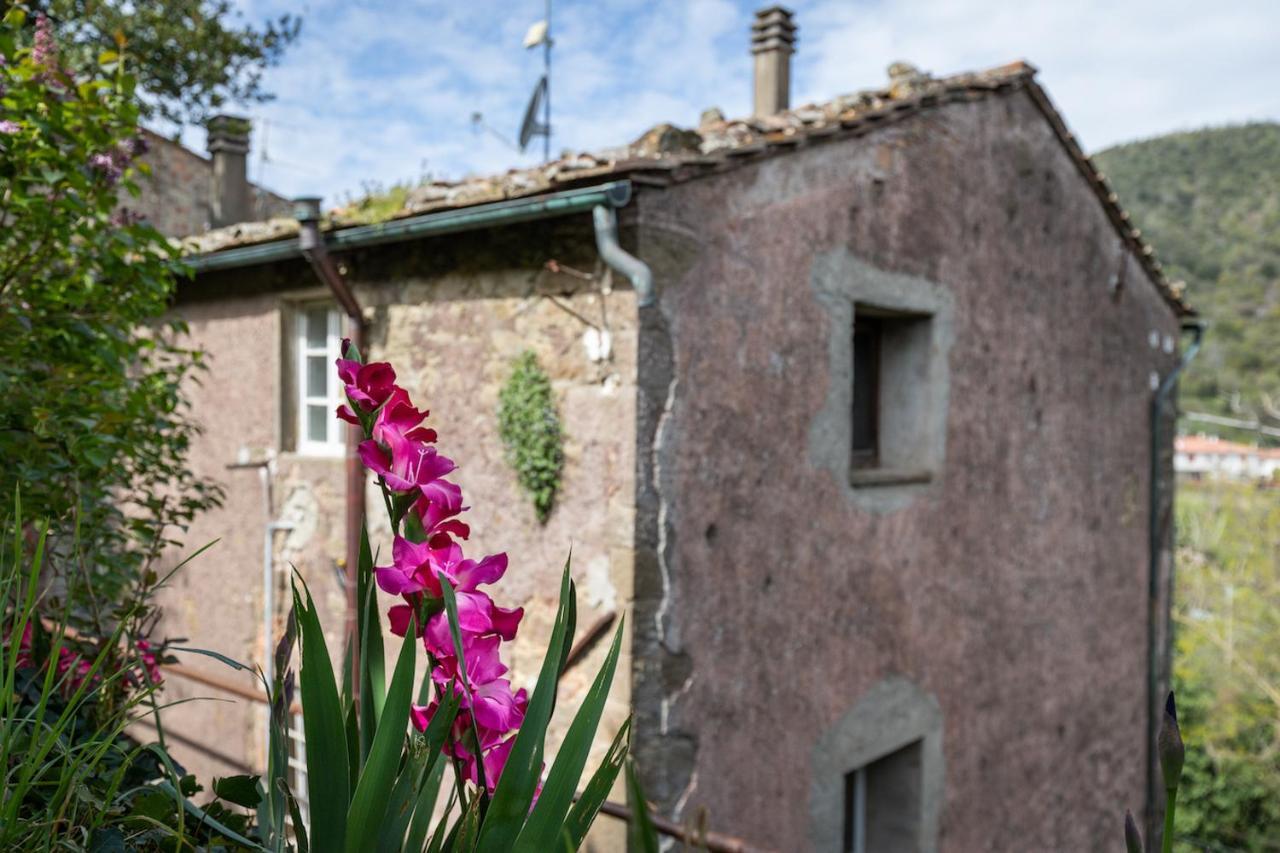 Orielda Casa vacanze Montecatini Val di Cecina