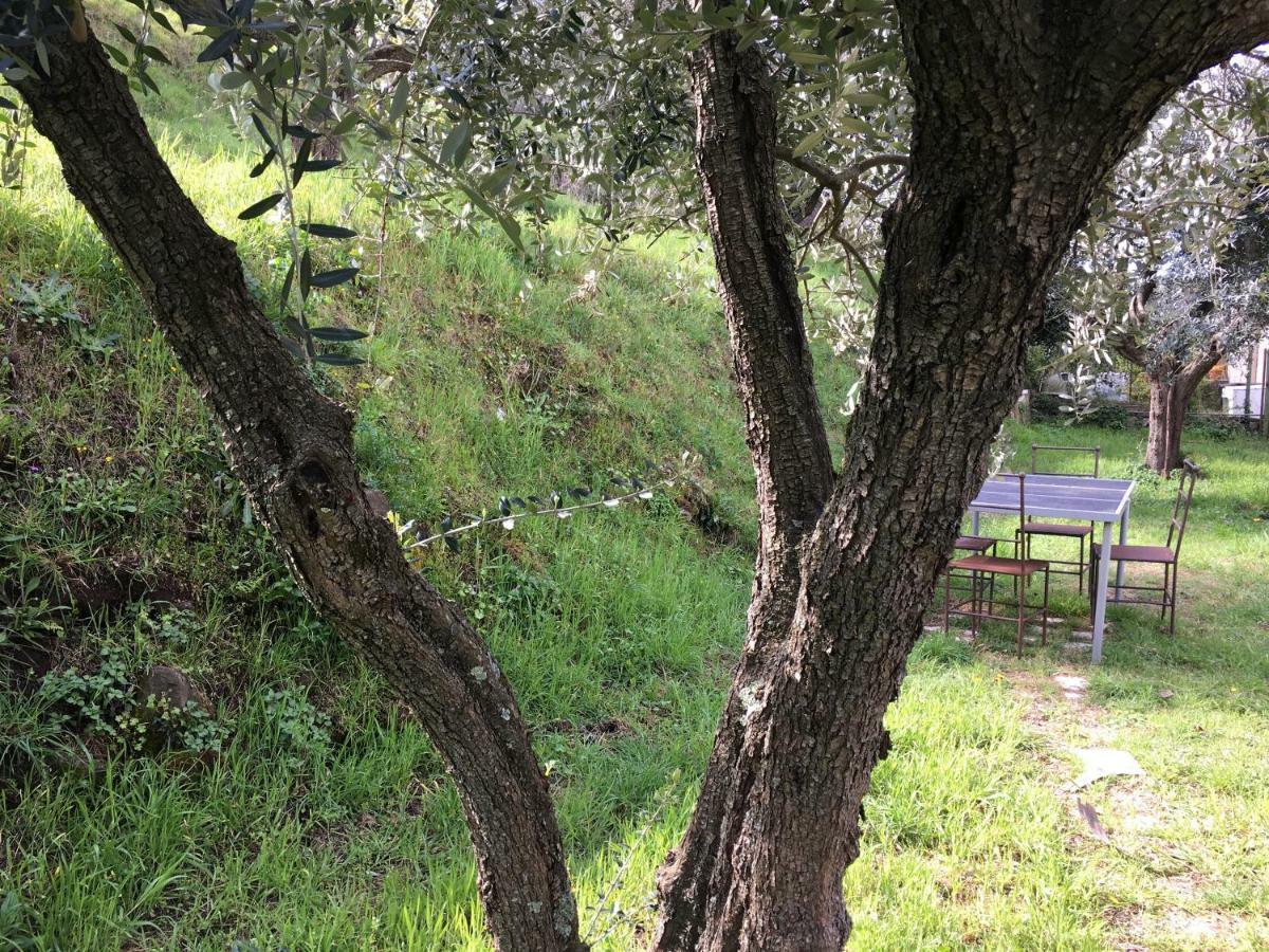 Casa vacanze Orielda Montecatini Val di Cecina